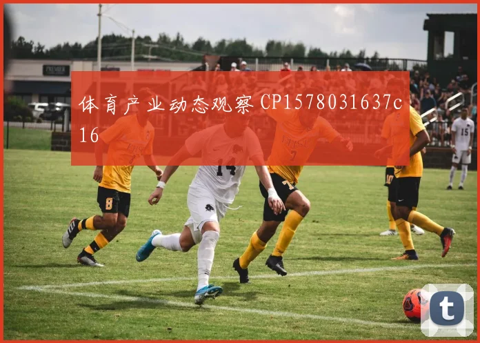 体育产业动态观察 CP1578031637c16